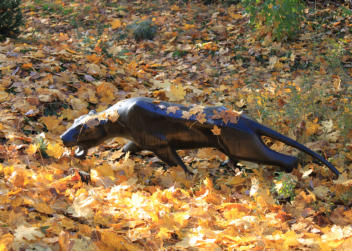 Panther